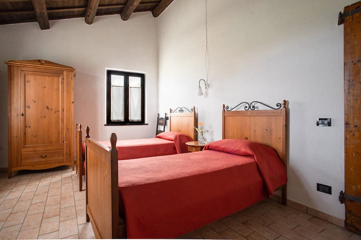 Habitación 1