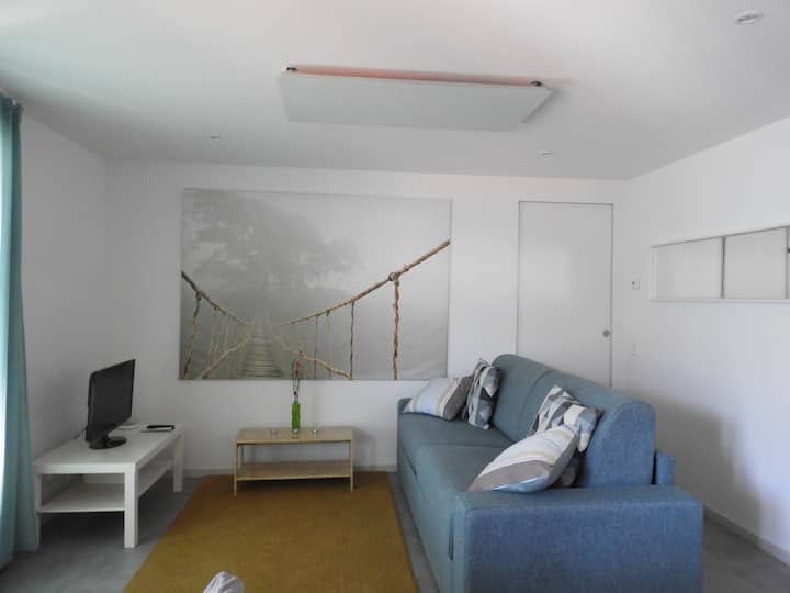 Wohnung Mit Blick Auf Die Brissago-inseln - Ronco sopra Ascona