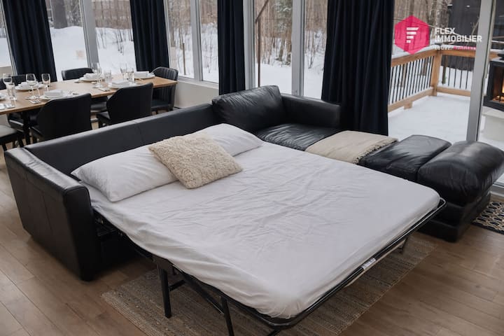 Queen-size sofa bed in the living room