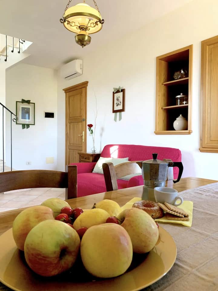 Three-bedroom Flat With A Swimming Pool Near Sea - Castiglione della Pescaia