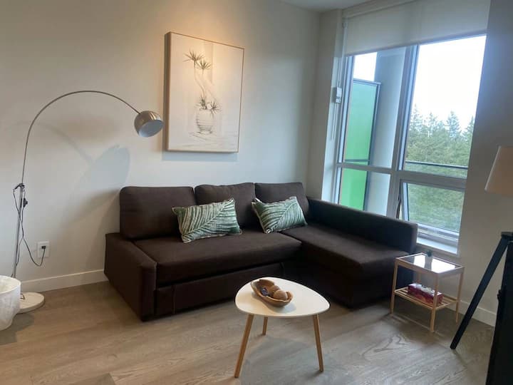 Ubc New 1 Bedroom - Richmond