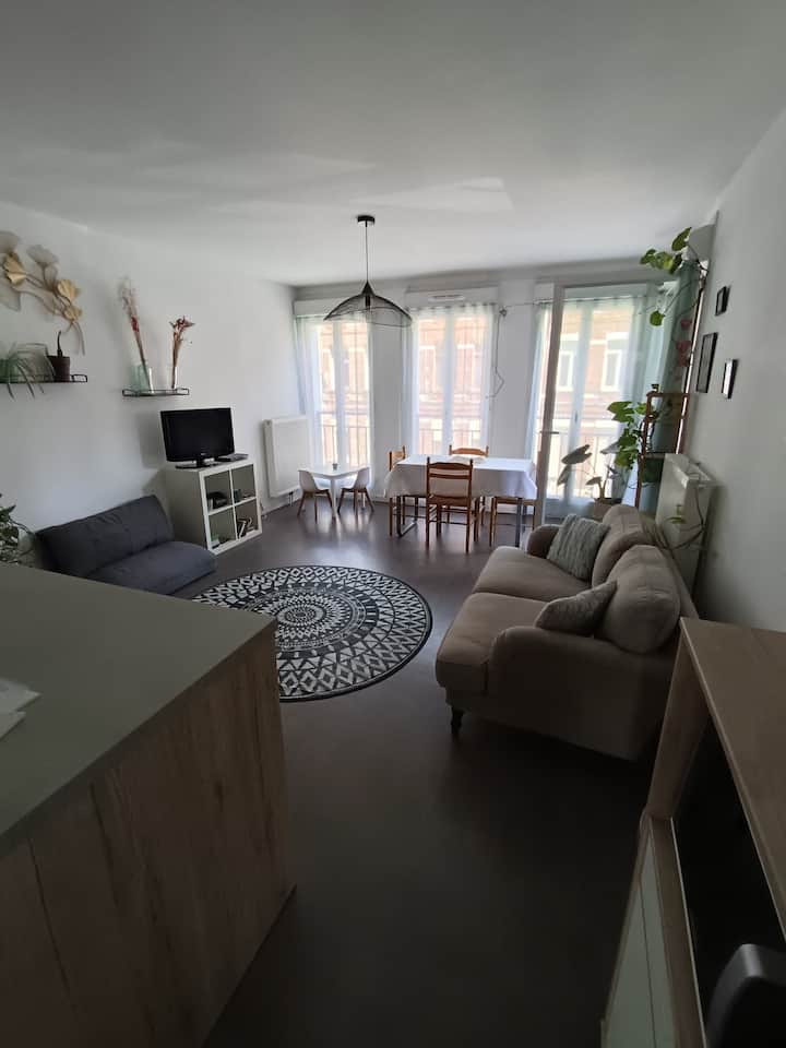 Le Meilleur Des Appartements Lillois - Lambersart