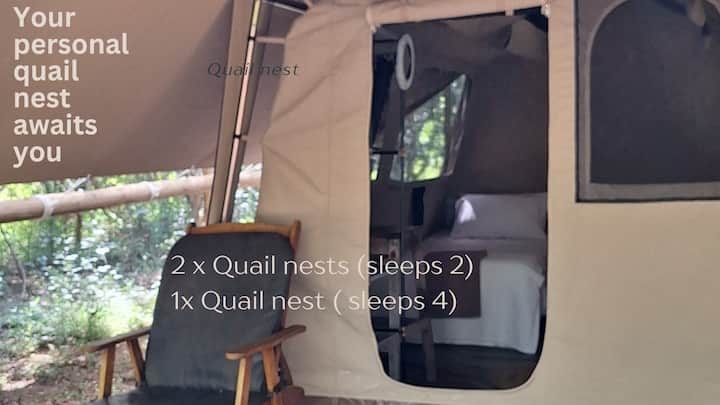 Chambre 1