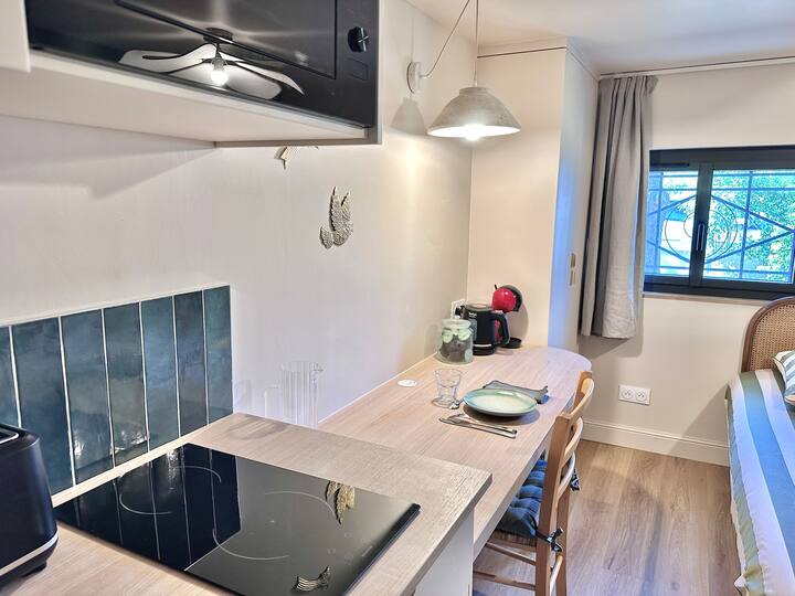 L'oliveraie : Studio Indépendant Rénové Avec Patio - Talence