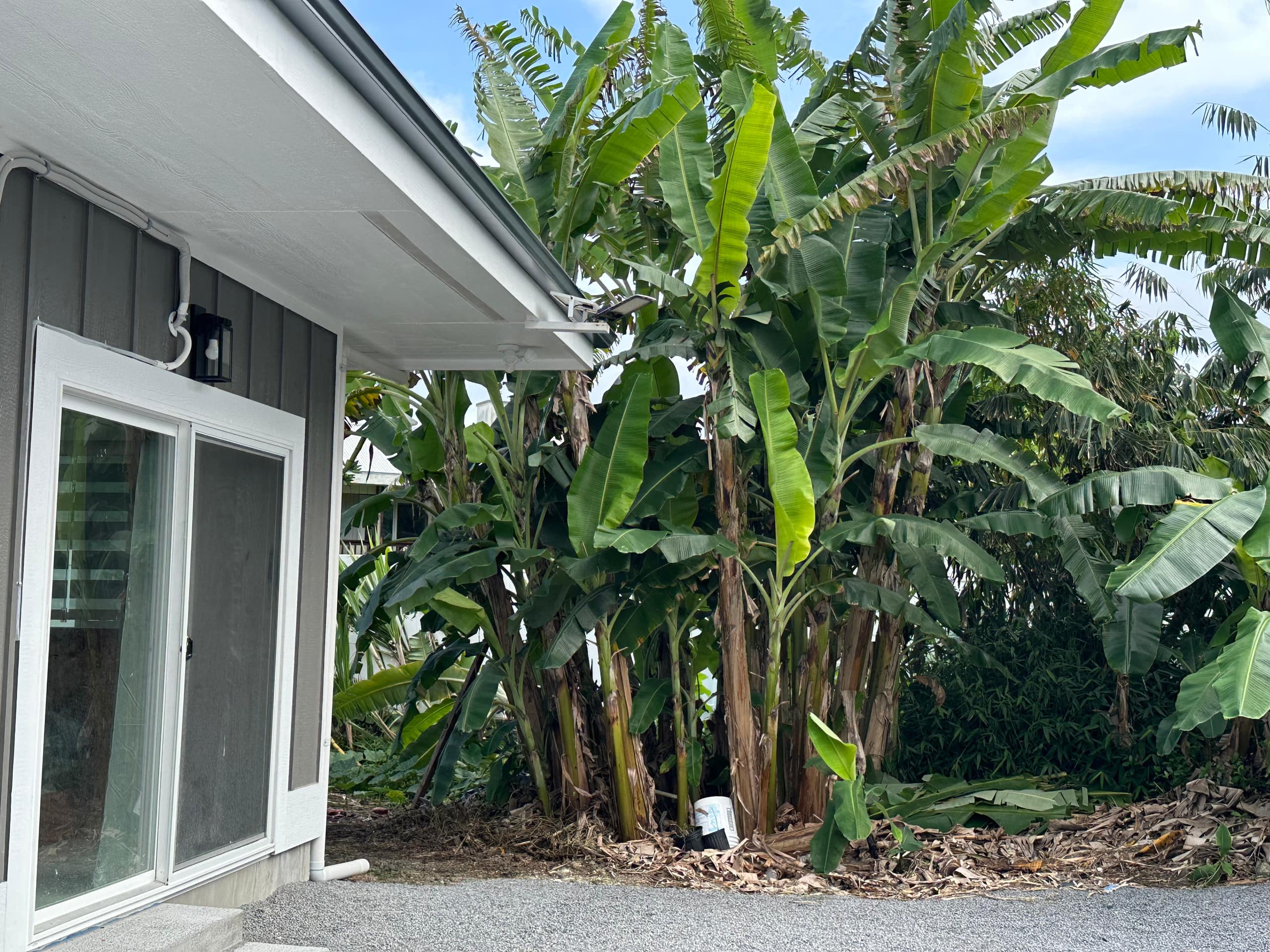 Home in Hilo · ★5.0 · 4 bedrooms · 4 beds · 4 private baths - Image 28