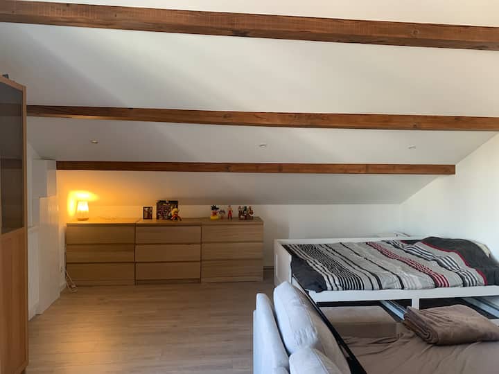 Loue Une Chambre Avec Une Salle De Bain Privative - Annemasse