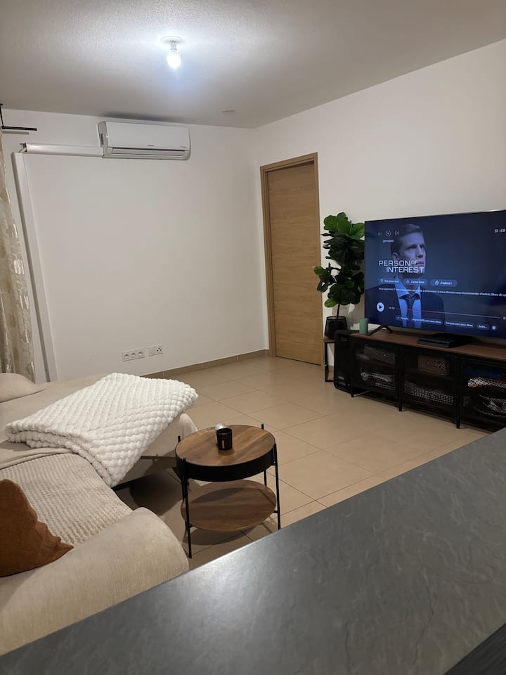 Grand T3 Climatisé Avec 2 Terrasses - Borgo