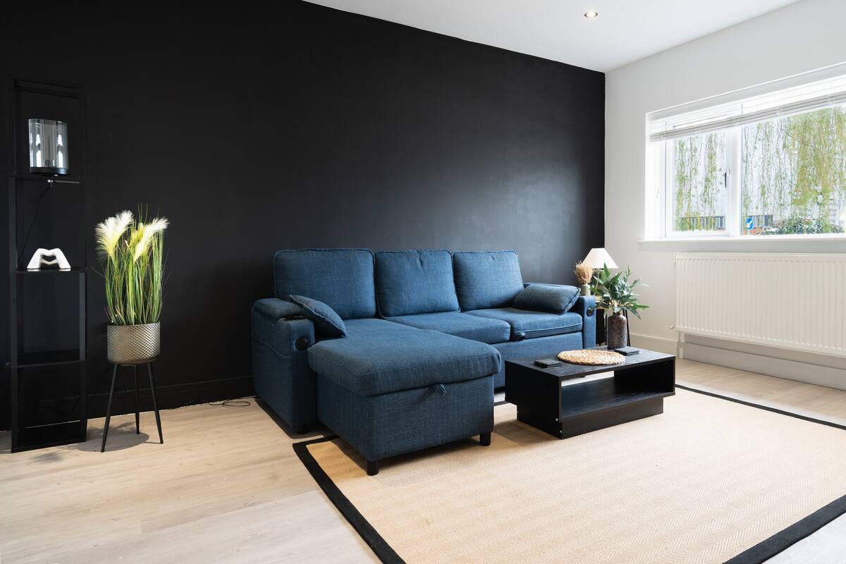 Living room with sofa bed