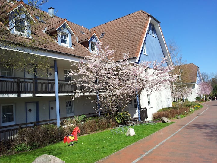 Ferienwohnung Ortlieb Laboe - Laboe