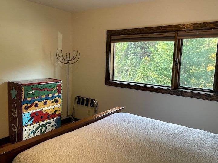 Vue de la chambre 2 sur les pins et les épinettes imposants devant