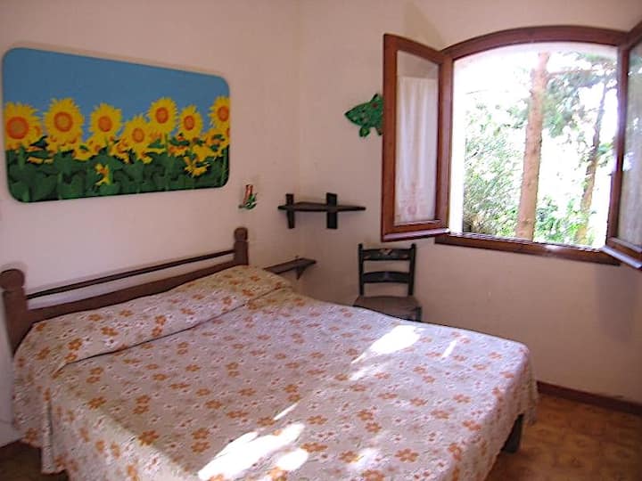 Villino Il Ginepro 
Casa A Con Giardino - Arzachena