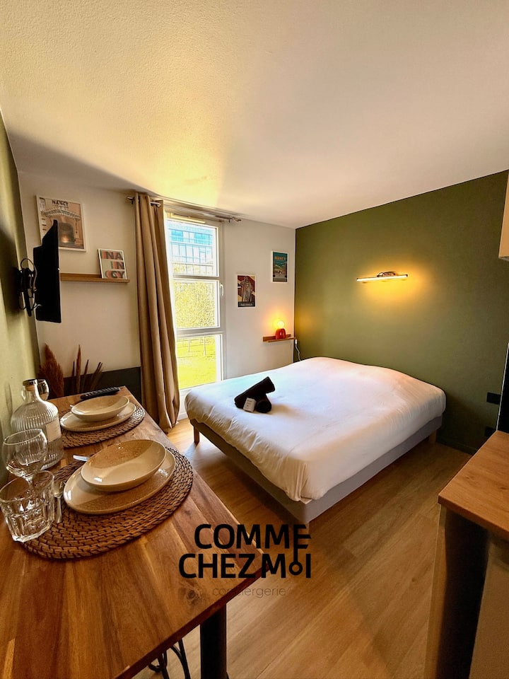 Appartement Le 218, Tout éQuipé Avec Garage, Nancy - Nancy
