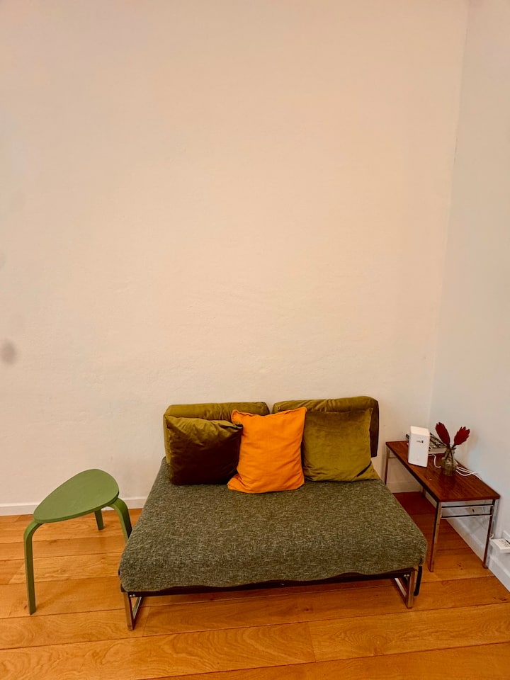 Spacieux Appartement Au Cœur De Bruxelles - Ixelles