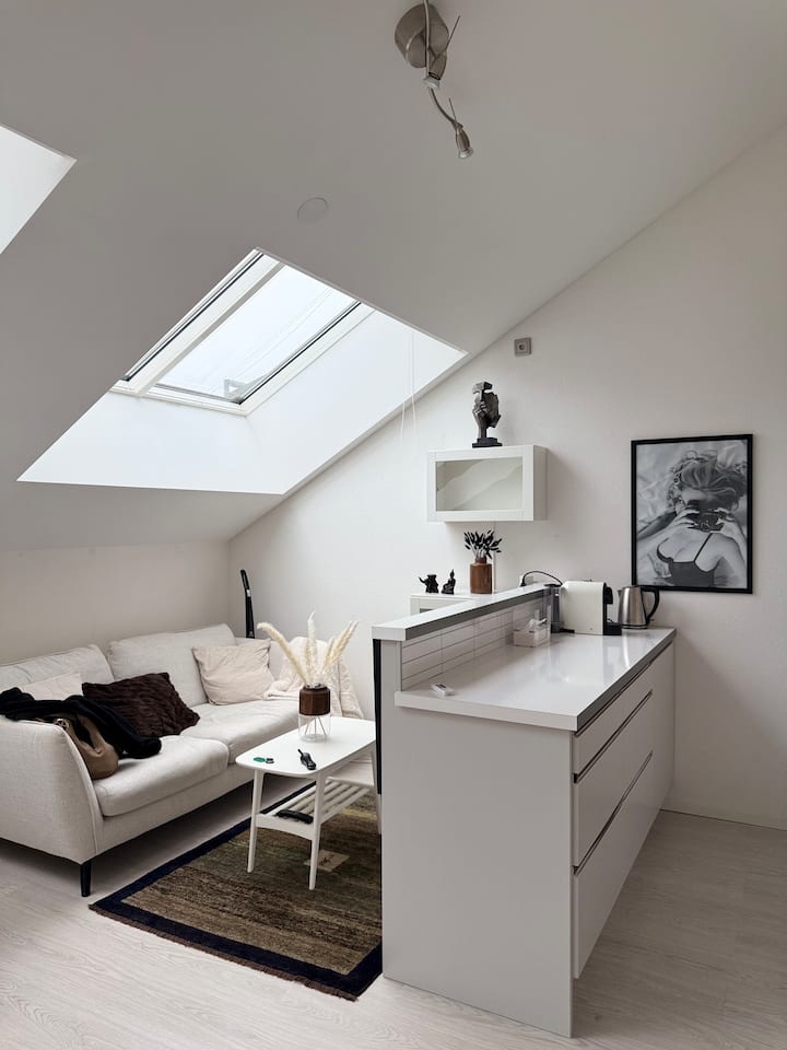 Penthouse Studio - Stockholm