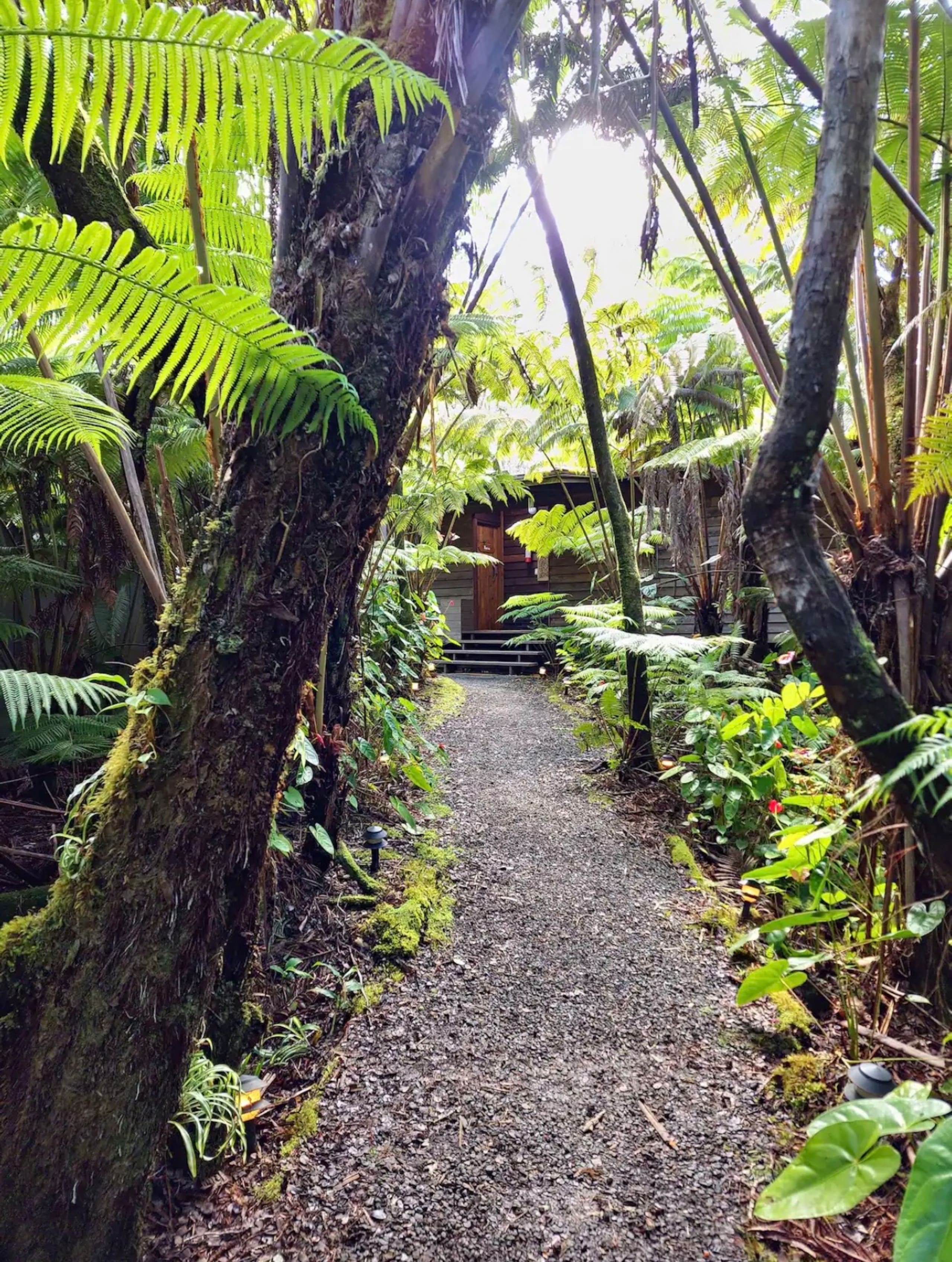The Hapu’u Room - Photo 8