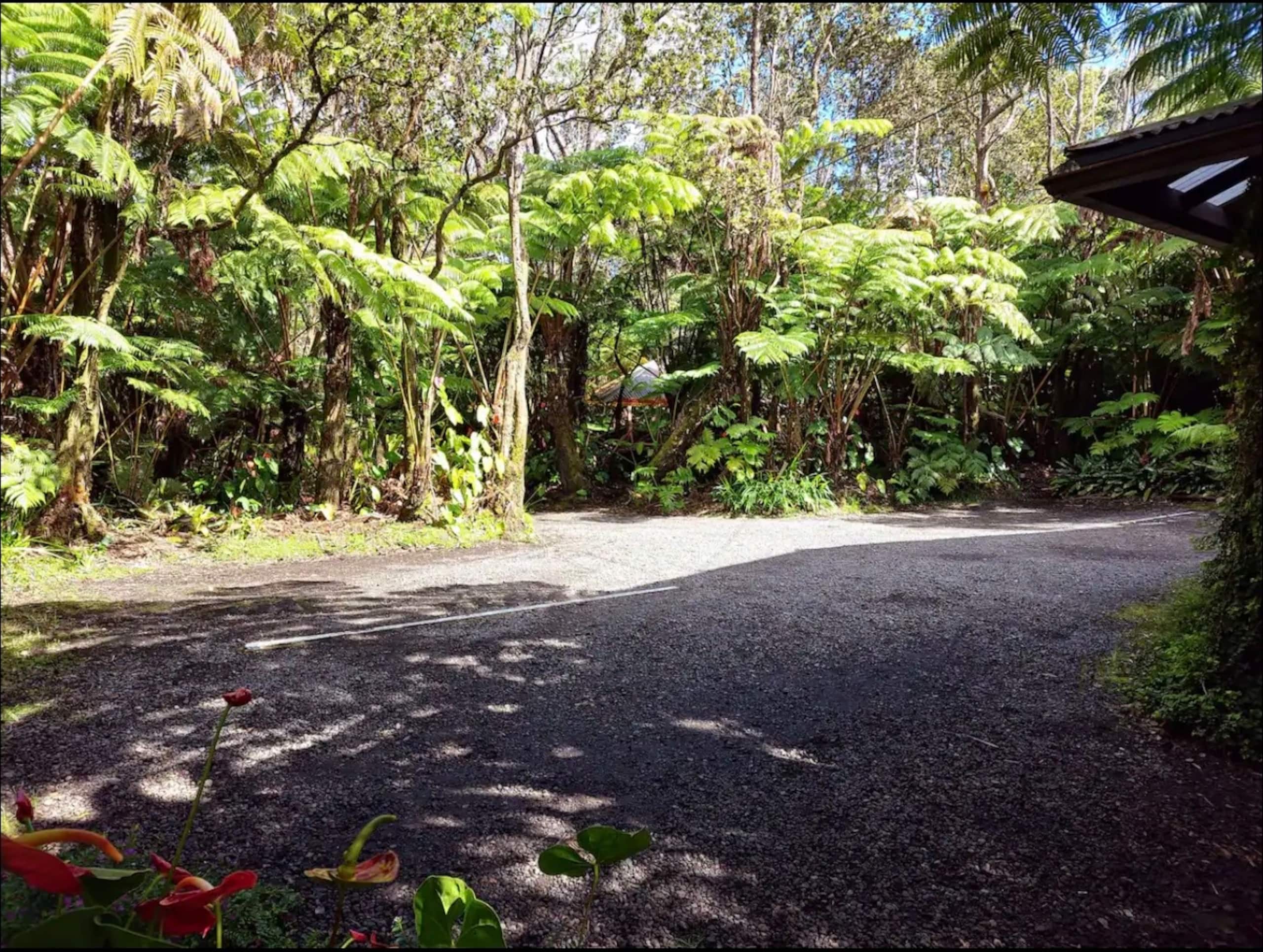 The Hapu’u Room - Photo 7