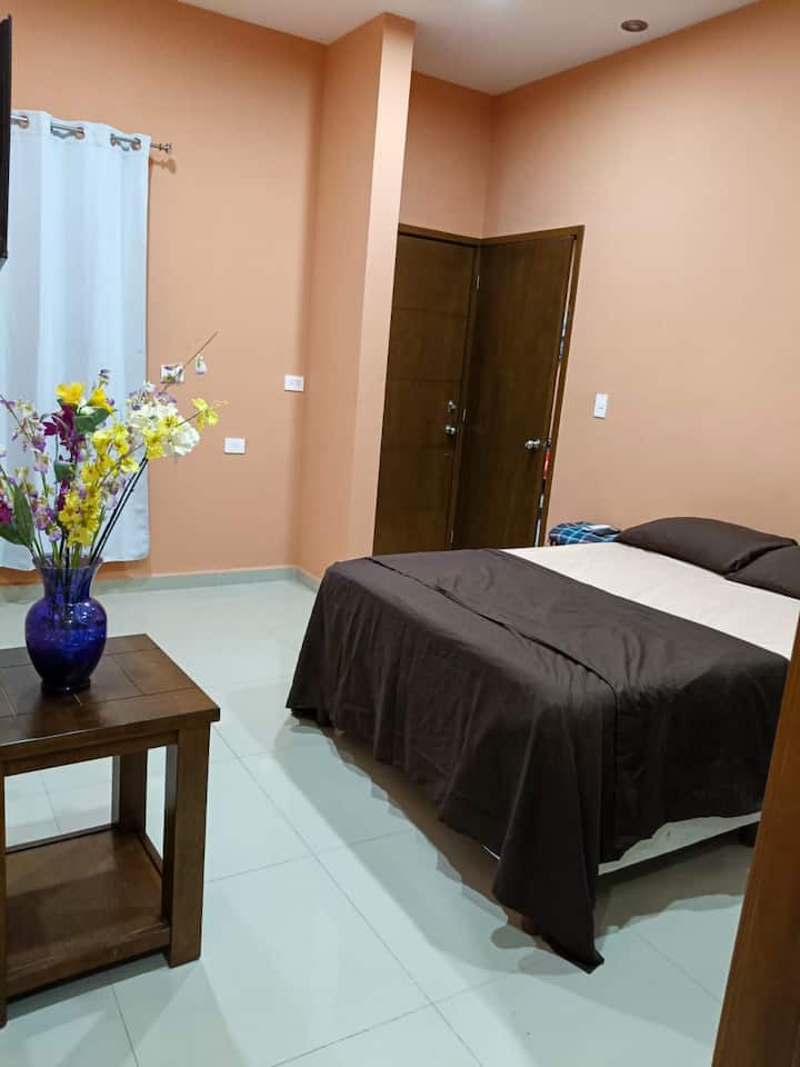Habitación 1