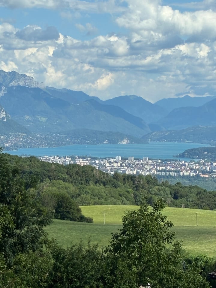 Maison 200m² Au Frais Sur Les Hauteurs D'annecy - Annecy