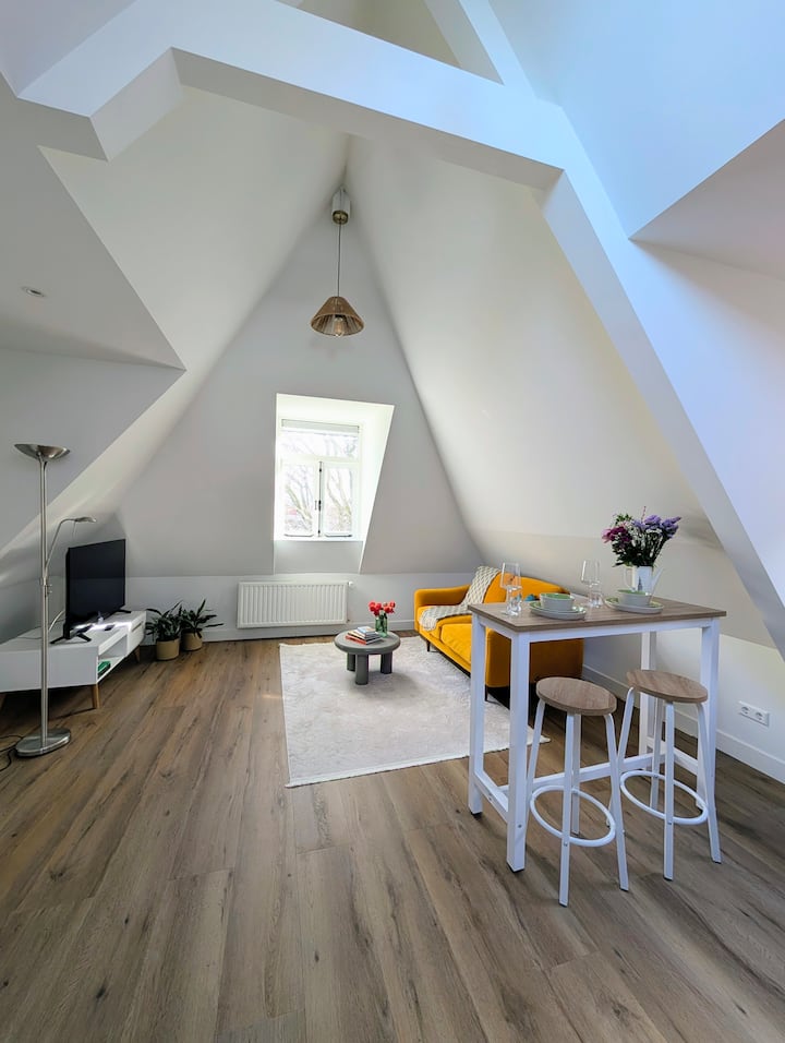 Newly Renovated Loft 10min From City Centre &Beach - Monster