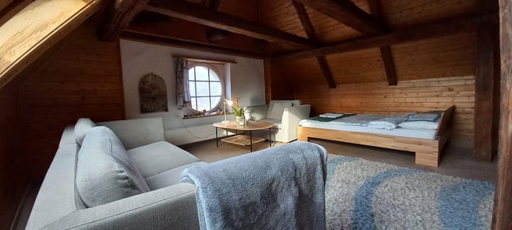 Furnished 2 Rooms Apartment In Zizers - Chur