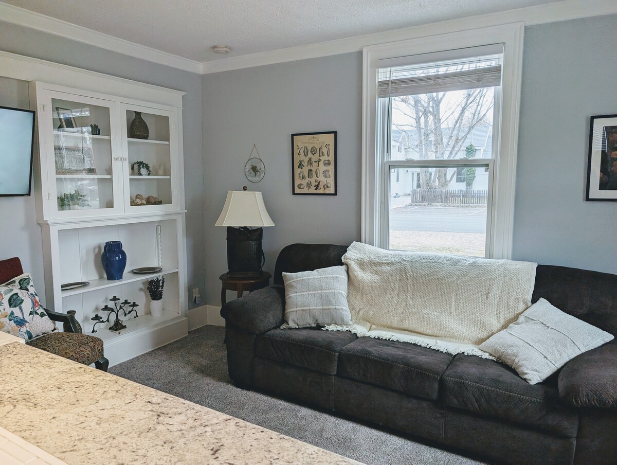 Blue Ski House
