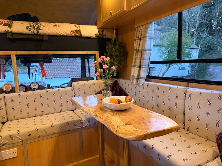 Cosy, Retired Horse Box. - Exmouth
