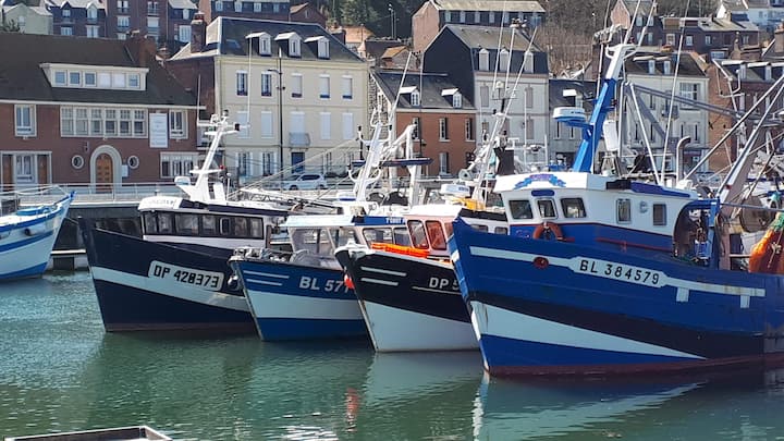 Maison De Pêcheur, Récemment Rénovée Vue Port ! - Le Tréport