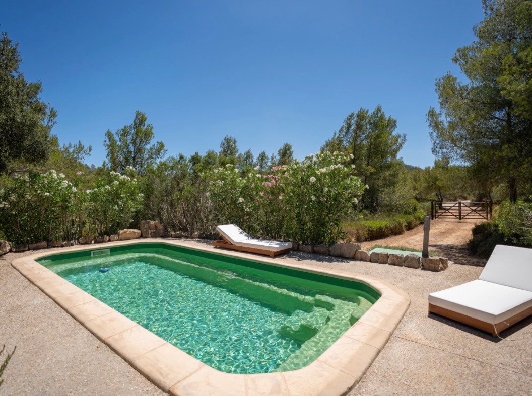 Pool at The Lodge, among pines and oleander