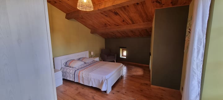 Habitación 1