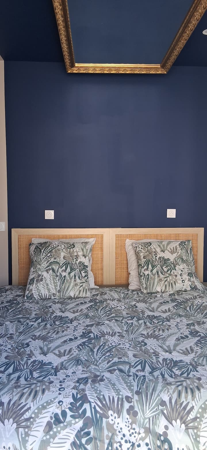 Habitación 1