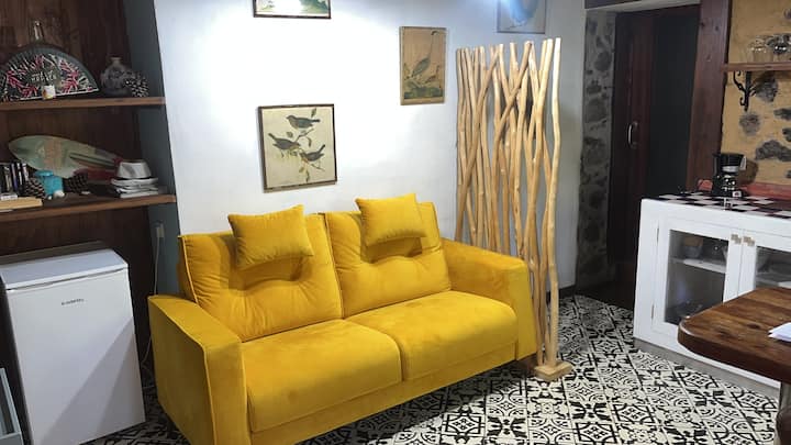 Typical Canarian House/apartament - La Laguna
