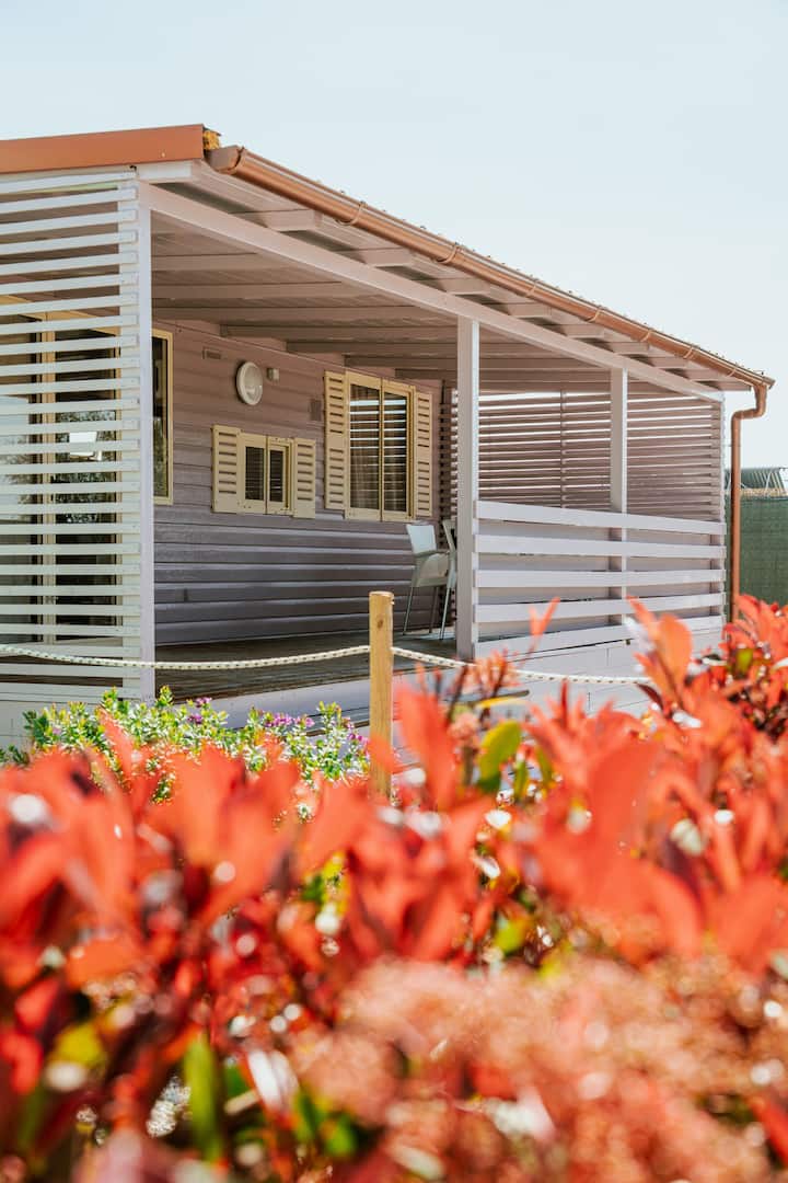 Gotha Beach Srl - Casetta Lavanda - Ladispoli