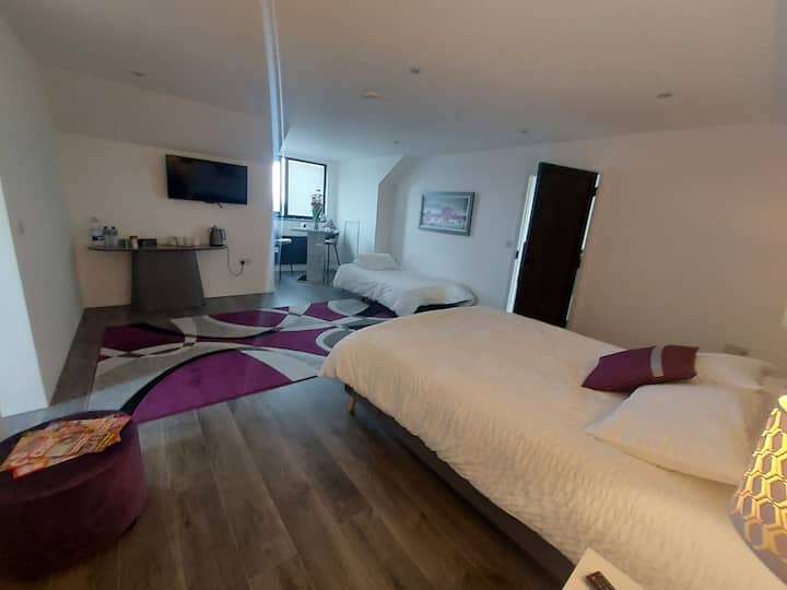 Private Modern Suite Room Only-walk In Wardrobe - Athlone