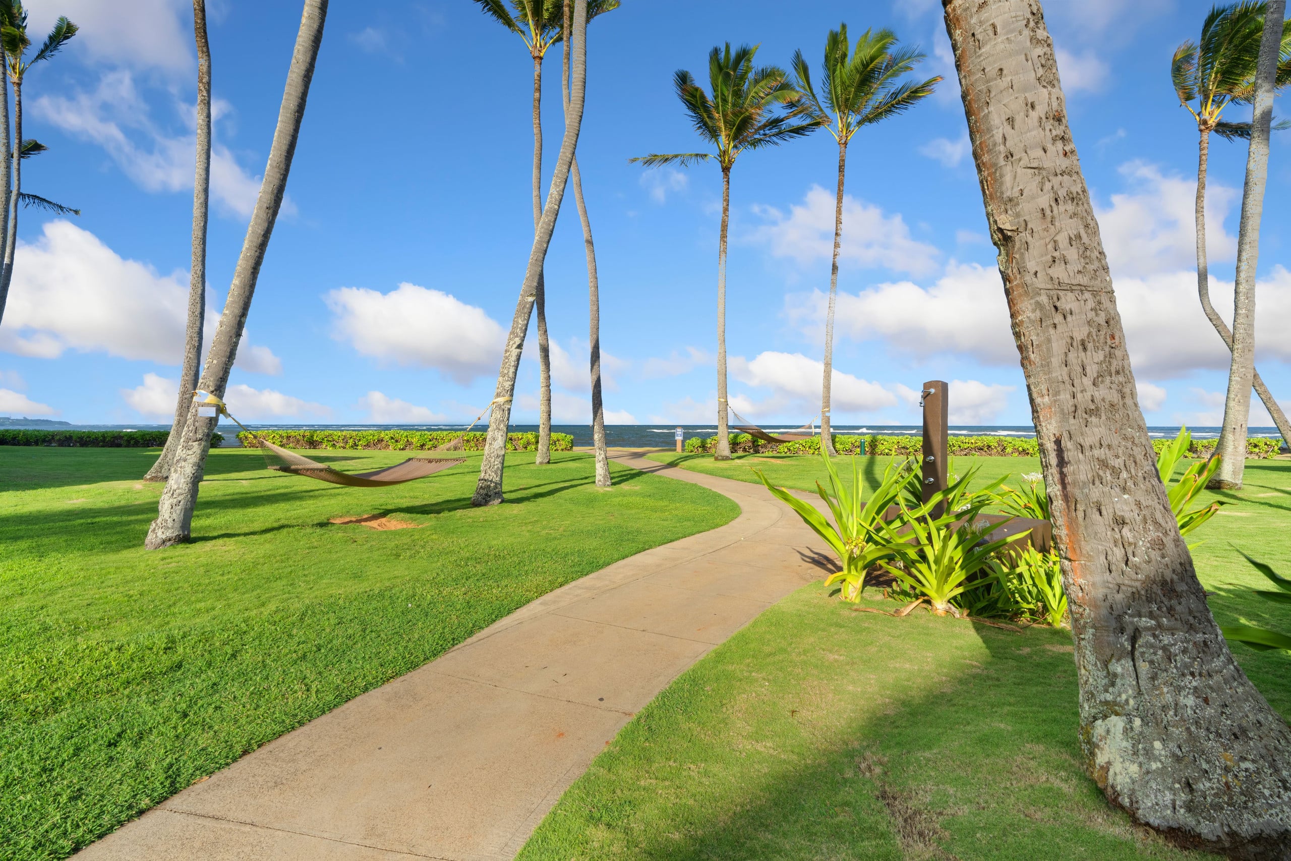 Condo in Kapaa · ★5.0 · 1 bedroom · 1 bed · 1 bath - Image 17