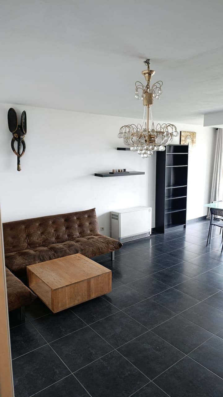 Appartement Lumineux - Près De L'aéroport Zaventem - Evere