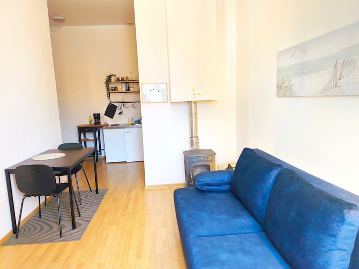Studio/ Fireplace/ Super Location/ Free Parking - Tallinn