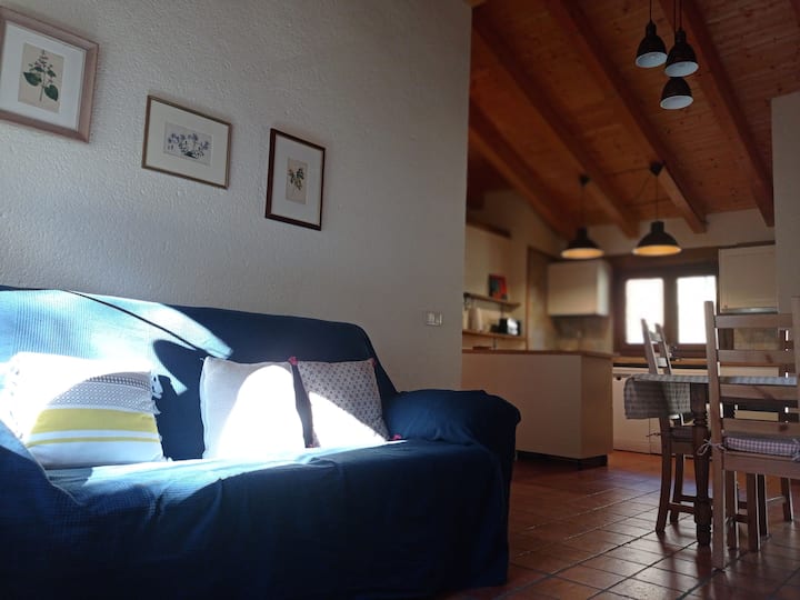 Casa Rural En Ribagorza, Puerta Al Pirineo Huesca - Bonansa