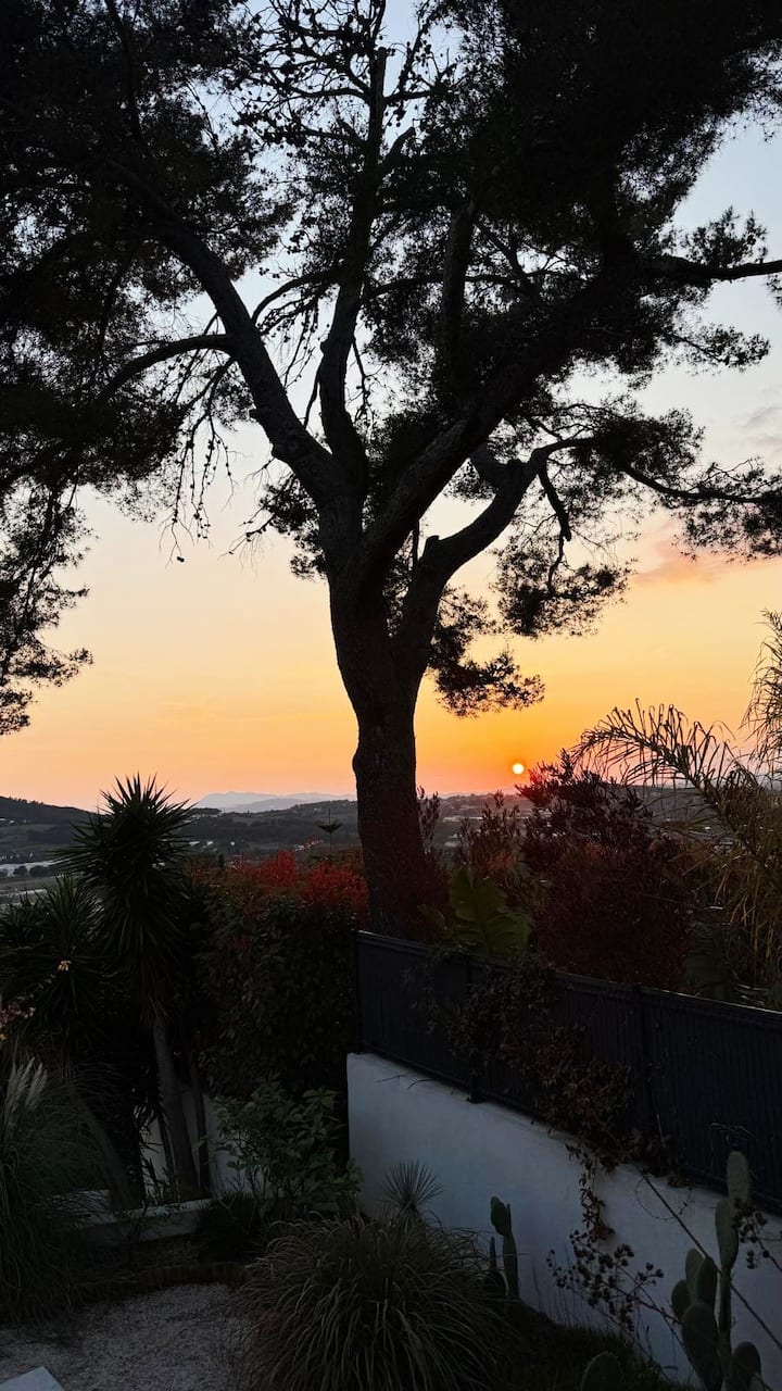 Studio Atypique Entre Palmiers & Coucher De Soleil - Carqueiranne