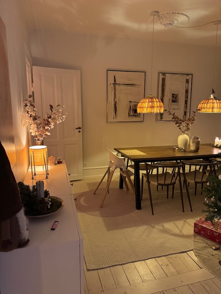 Best Located Apartment In Copenhagen - Kopenhagen