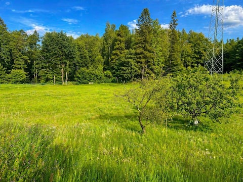 Top performing Airbnb: House by the forest in Osowa