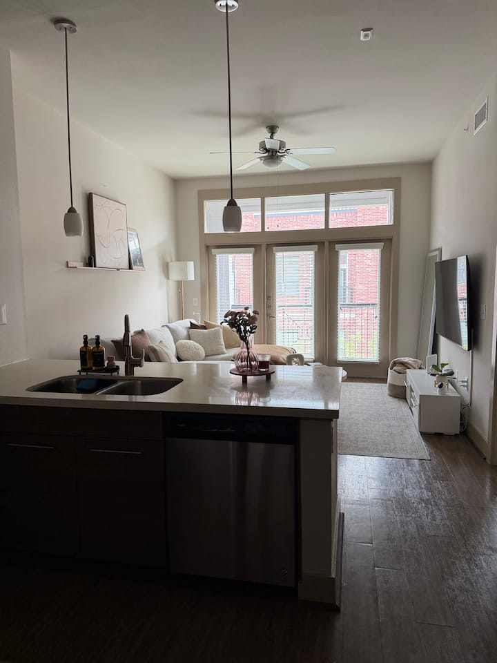 Cozy 1 Bedroom Apt In Midtown, Houston. - Houston, TX