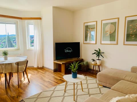 Popular Airbnb listing: SkyView: large family apartment with a fantastic view in Ústecký