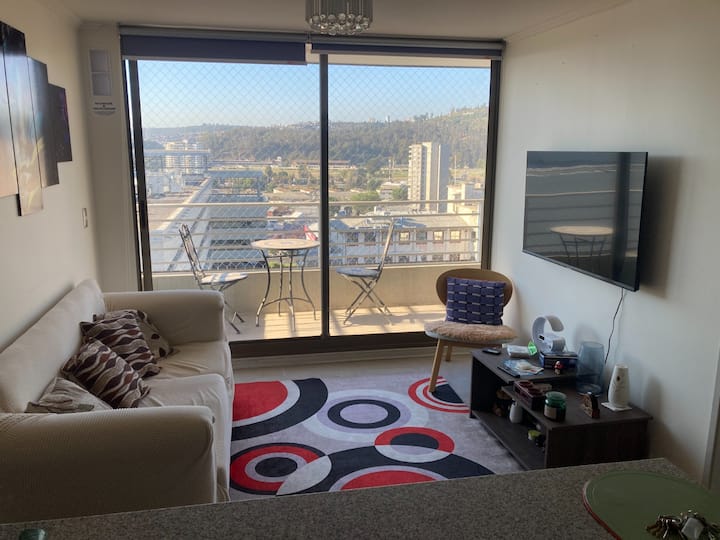 Lindo Y Acogedor Departamento En Viña Del Mar - Viña del Mar