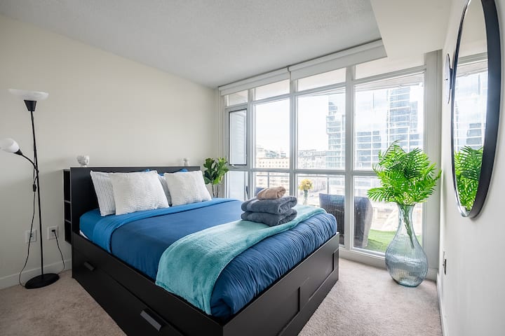 Apartment In Downtown Toronto - Toronto, ON