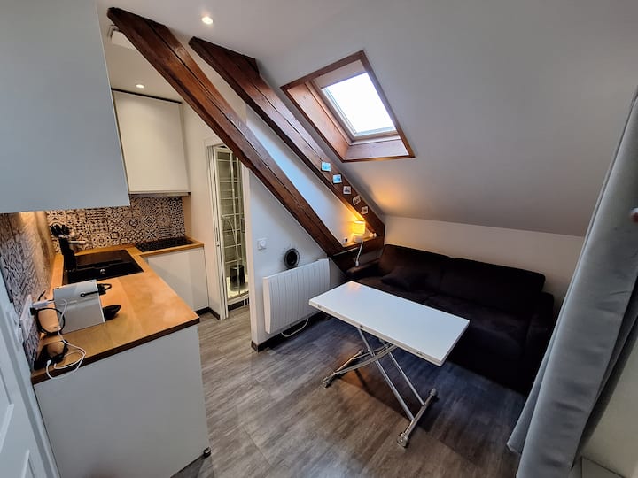 Le Nichoir, Studio Hyper Centre - Annecy-le-Vieux