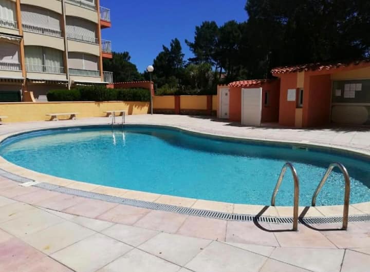 Studio Lunarya - Argelès-sur-Mer