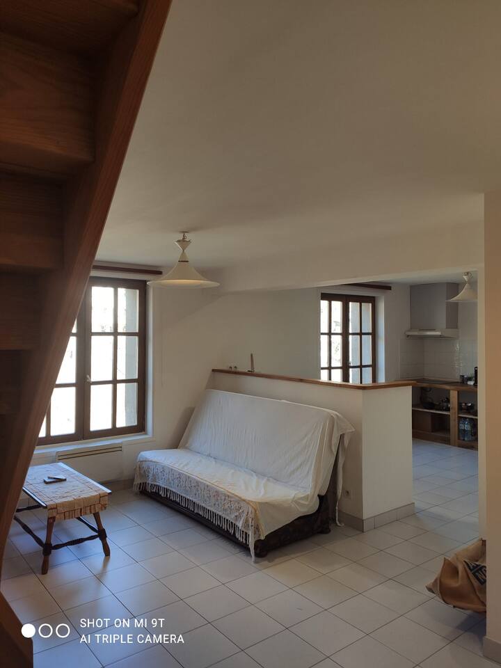 Appartement Dans Le Centre Du Pont-de-montvert - Pont-de-Montvert-Sud-Mont-Lozère