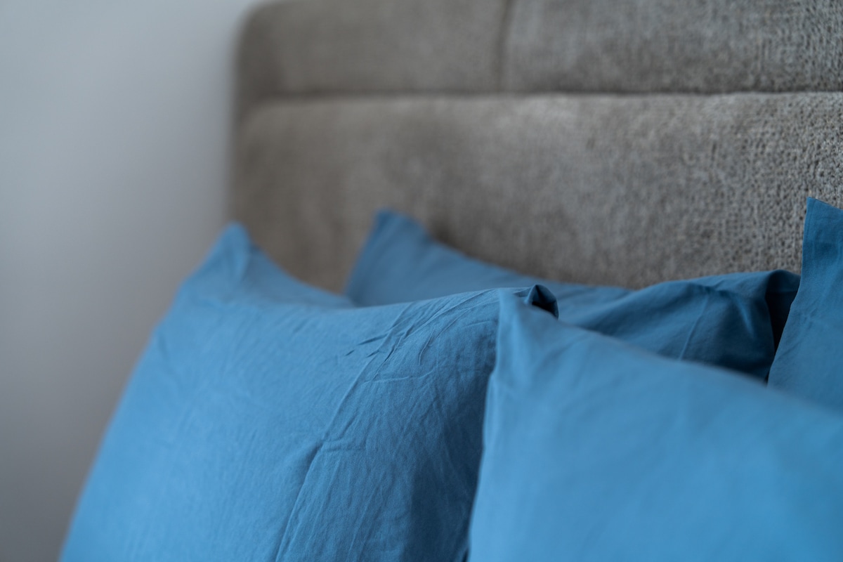 Rental unit in Casablanca  New  1 bedroom  1 bed  1 bath - image 3