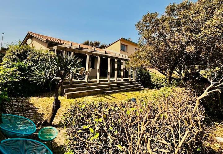 Maison Contemporaine En Face Des Dunes - Hourtin