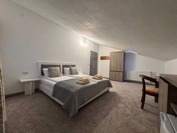 Apartament Cu 2 Camere - Pensiunea Lili's (3) - Anina